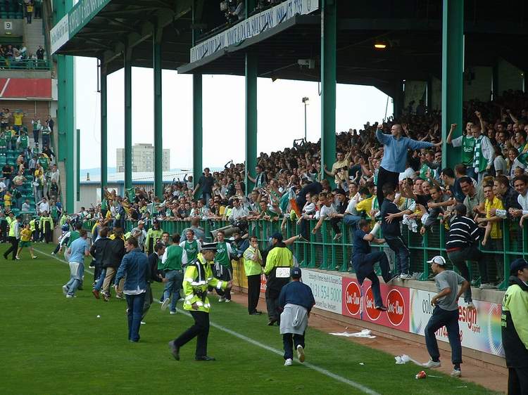 hibs03.jpg